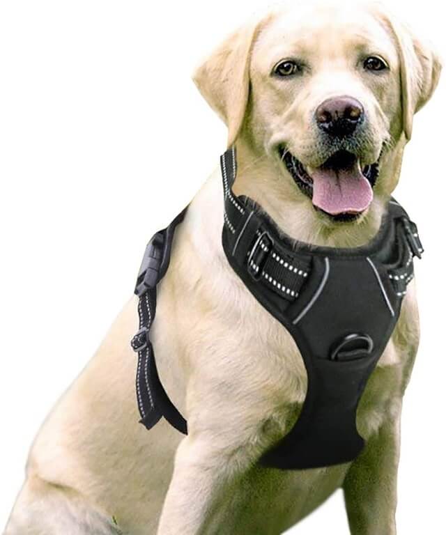 Hundegeschirr