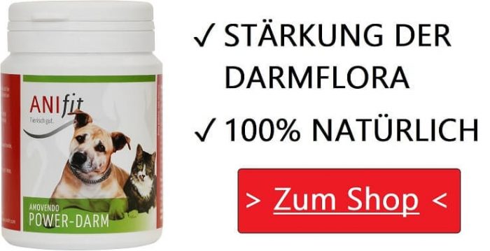 Sauerkraut für Hund Haus und ErsteHilfeNotfallmittel